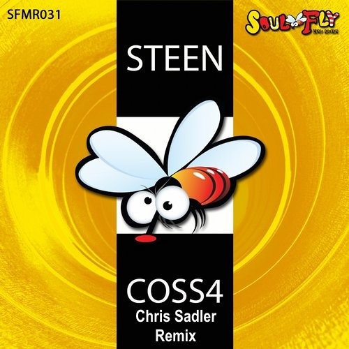Steen - Coss4 (Chris Sadler Remix)